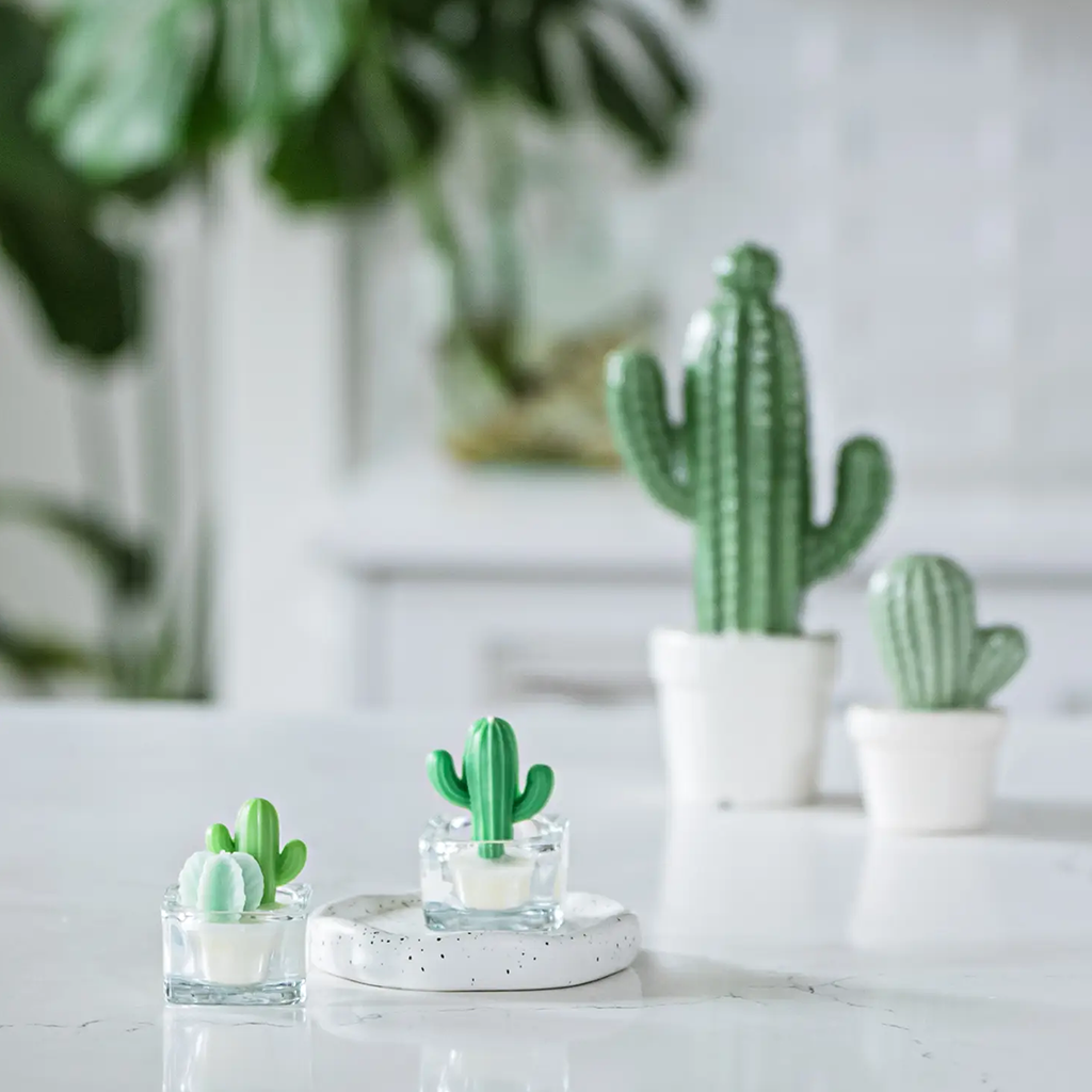 ZOETSTUDIO Cactus Tealight Candle