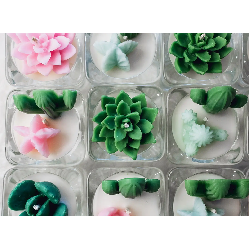 ZOETSTUDIO Cactus and Succulent Tealight Candle