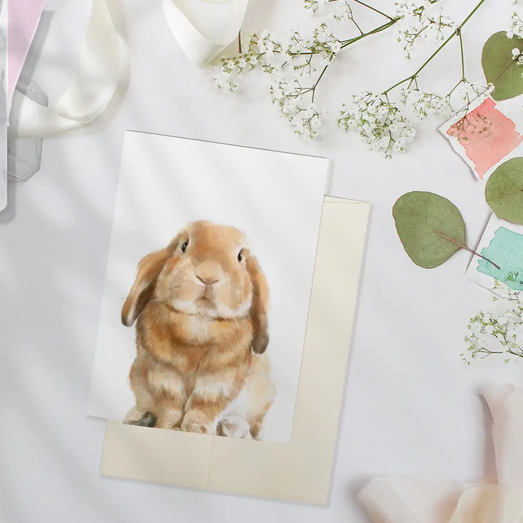Triple Studio Hoppy Rabbit Card