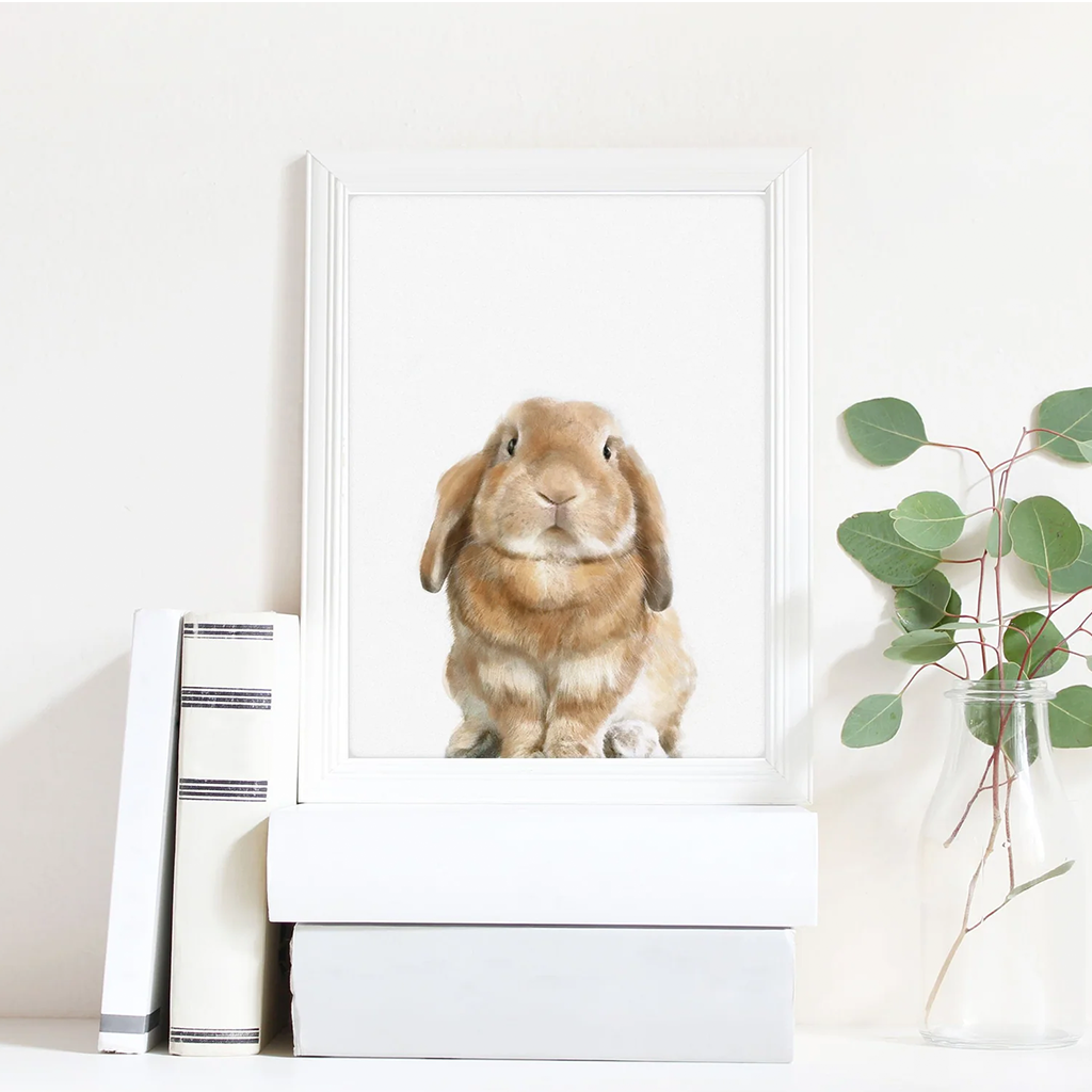 Triple Studio Hoppy Rabbit Card