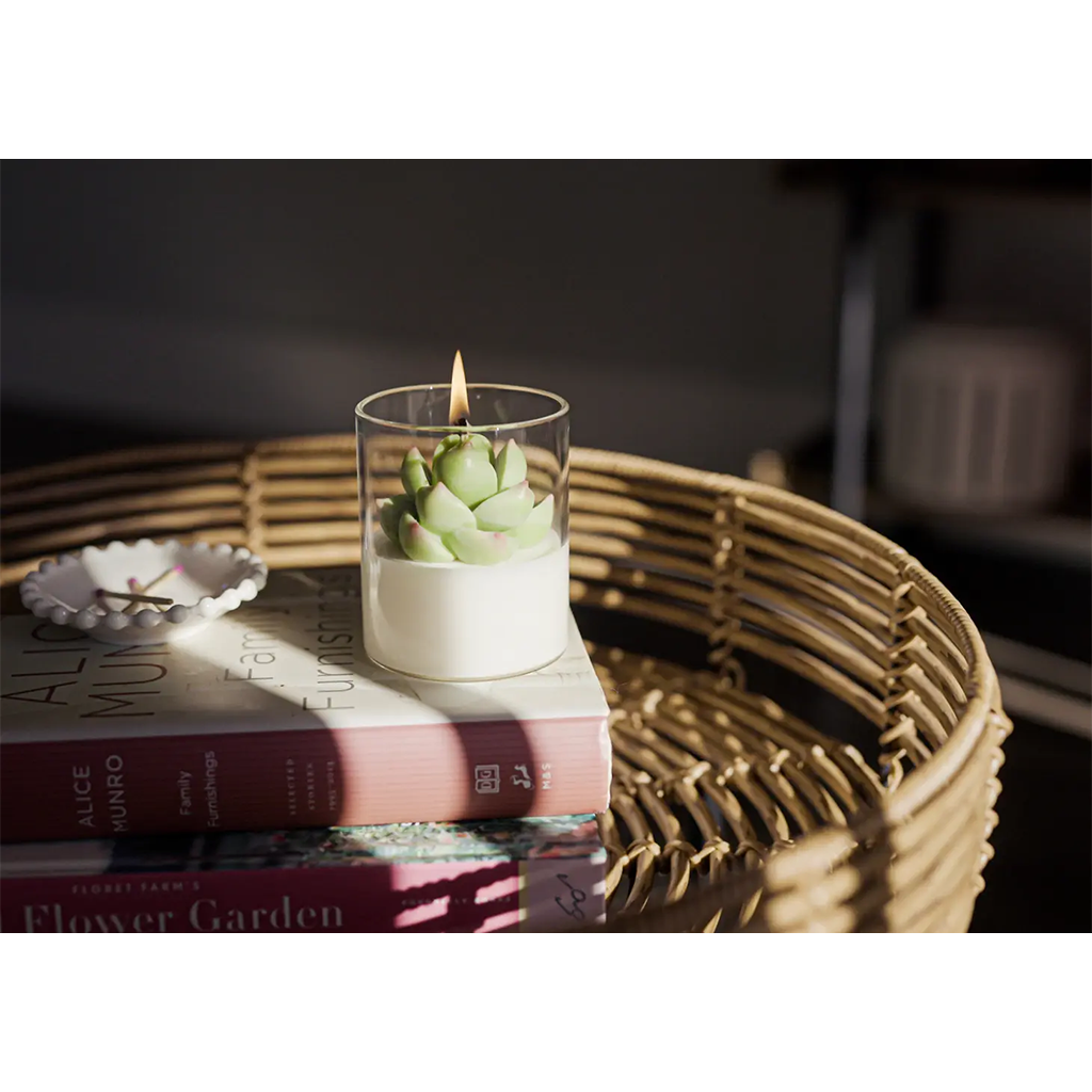 ZOETSTUDIO Succulent Candle