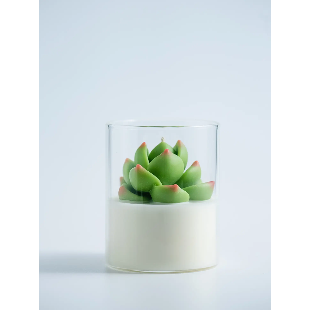ZOETSTUDIO Succulent Candle
