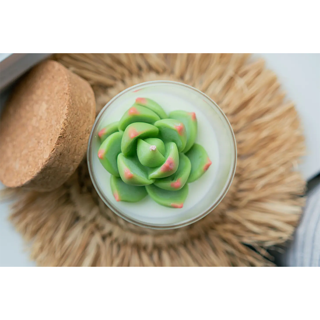 ZOETSTUDIO Succulent Candle