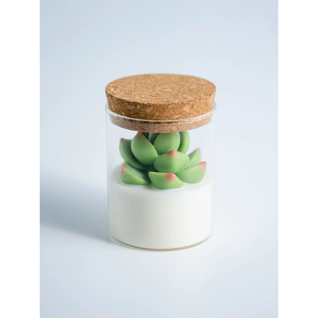 ZOETSTUDIO Succulent Candle