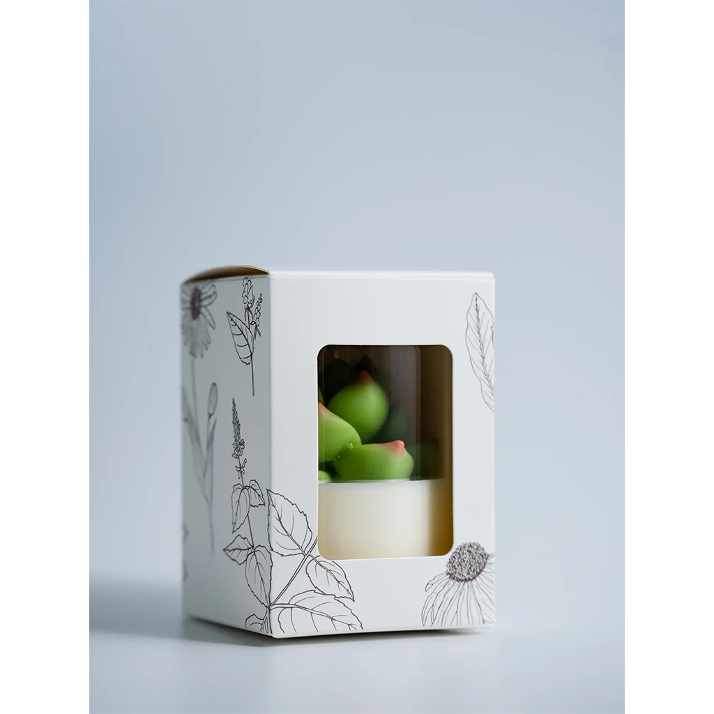 ZOETSTUDIO Succulent Candle