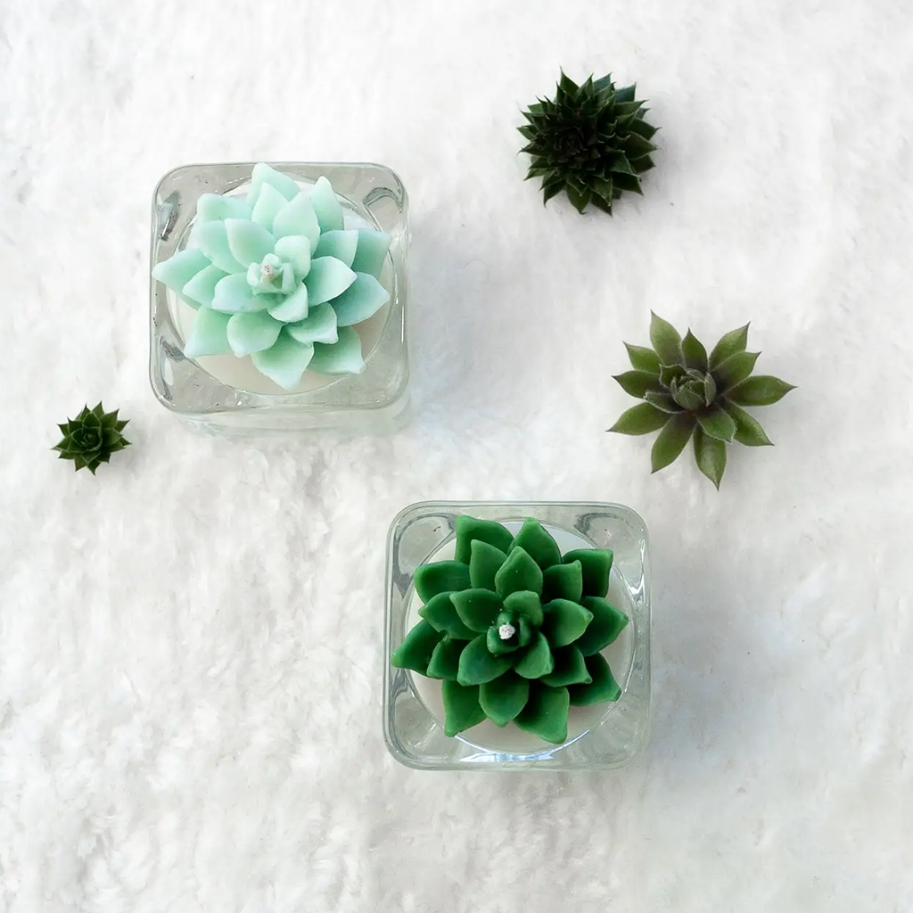 Succulent Tealight Candle