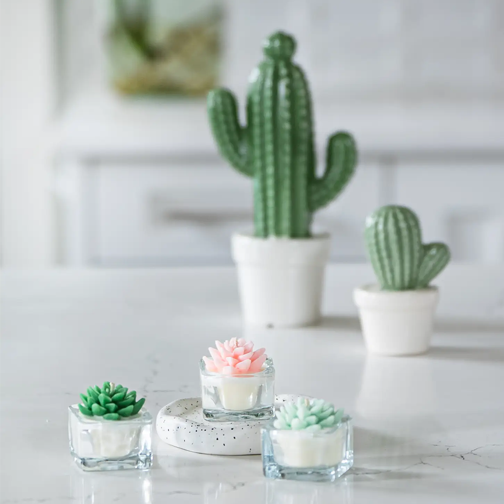 Succulent Tealight Candle