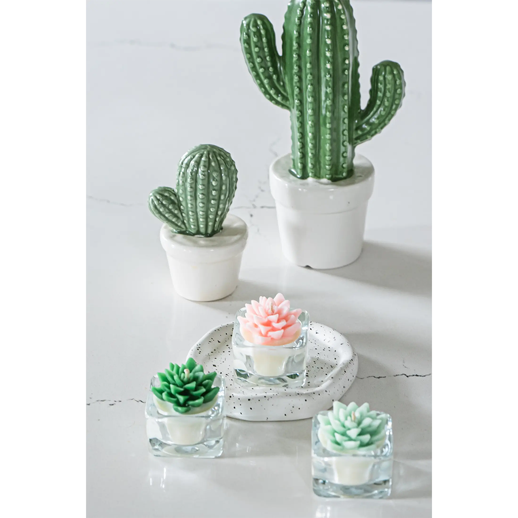 Succulent Tealight Candle