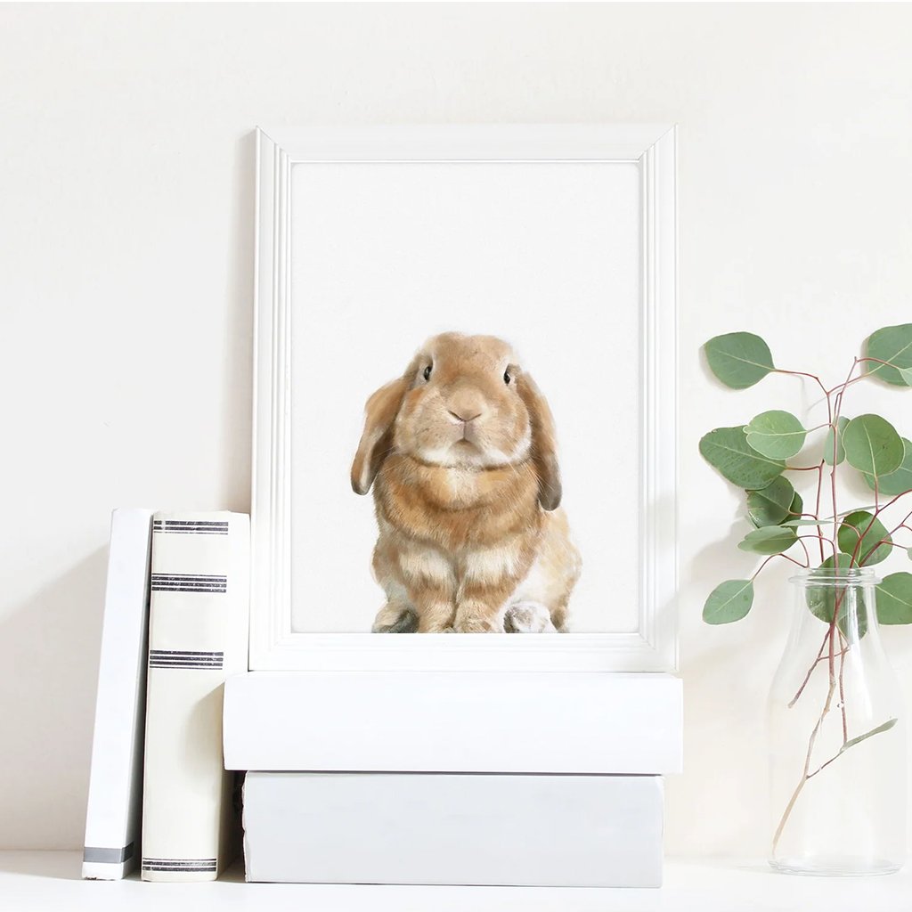 Triple Studio Bunny Print