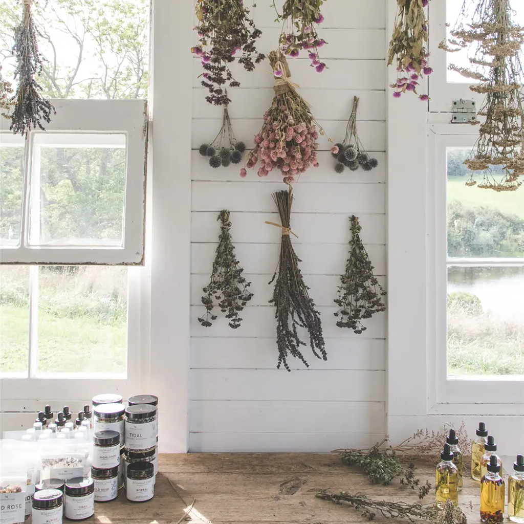 Wildwood Creek Botanicals