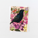 Briana Corr Scott Starling Greeting Card